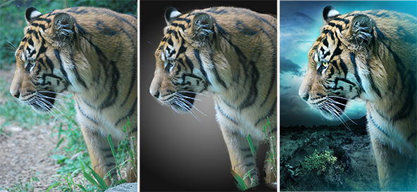 Compositing Animals Photoshop Tutorial - Before and After